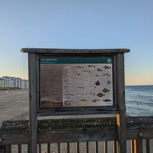Sandbridge Little Island Park