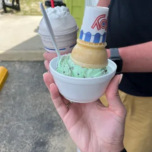 Grasshopper mint ice cream