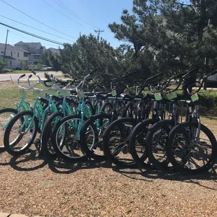 Bike rentals