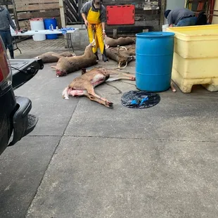 Faster and efficient