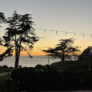 View from outside table