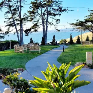 Sanderlings at Seascape Resort.
