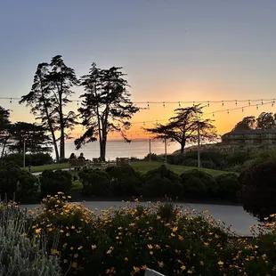 View from the outside service