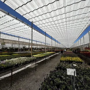 Green house 4/2023