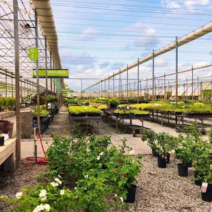Nursery