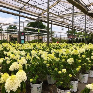 Nursery