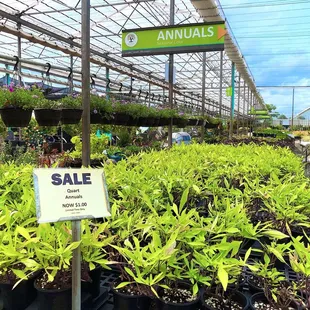 Nursery