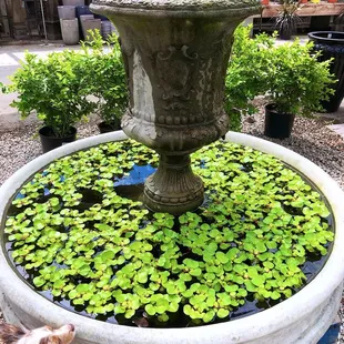 Fountain
