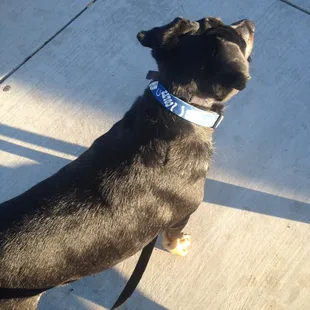 Lovely &amp; clean park!!