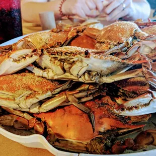 Hot crabs at Sandgates