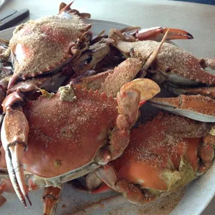 After nearly a two hour wait, these crabs arrived horribly over-cooked.