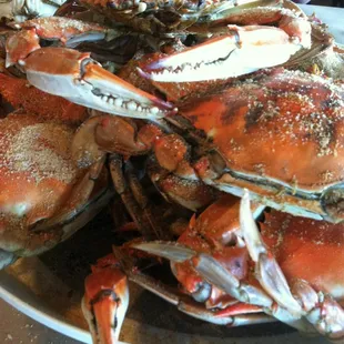 oysters, mussels, shellfish, oysters and mussels, food