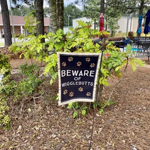 Dogs are welcome!