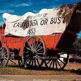 Now I'm living the dream at the beach.