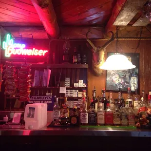 We can't go wrong when a bar has an antelope mounted on the wall.