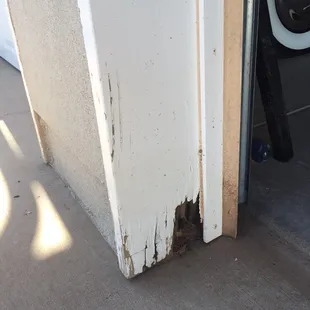 Most common place for rotted wood... base of garage door trim