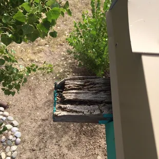 Wood rot only visible from roof