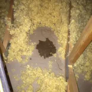 Roof leak in attic that was covered by blown-in insulation