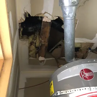 Damage from a second floor bathtub leak. Visible dark stains are potentially mold-containing.