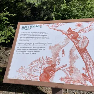 June 5, 2023 - Sandia Peak, (Cedar Crest, NM) Balsam Glade Picnic Area, hiking trail