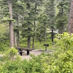 June 5, 2023 - Sandia Peak, (Cedar Crest, NM) Balsam Glade Picnic Area, hiking trail