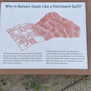 June 5, 2023 - Sandia Peak, (Cedar Crest, NM) Balsam Glade Picnic Area, hiking trail