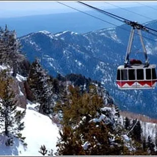 The Tram that takes you from the city of Albuquerque to the top of the ski valley.