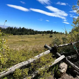 The meadow on the hike