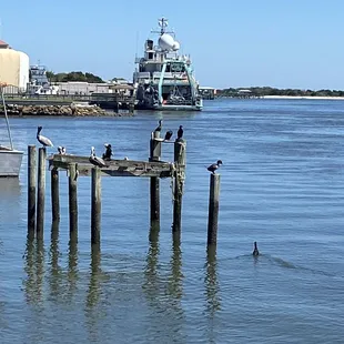 A view from the side of the deck