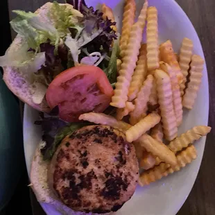 Salmon burger and fries
