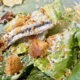 Caesar Salad