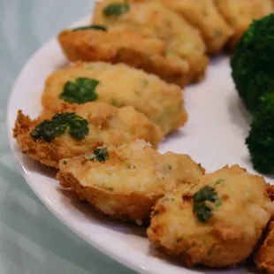 oysters and mussels, mussels, oysters, shellfish, food