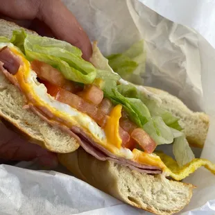 a person holding a sandwich in a wrapper