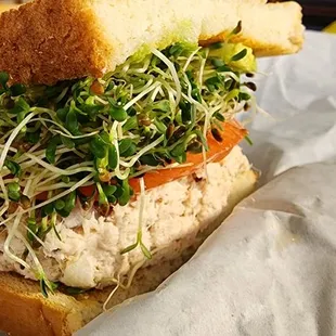 Sandwich Plus