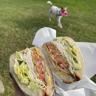 Classic Turkey Deli Sandwich w avo + cheddar + sprouts