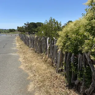 I just loved this driftwood fence.