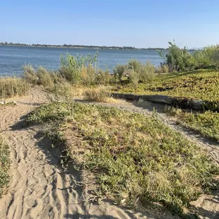 Pathway to get down to water
