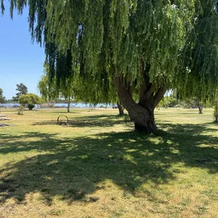 More water views from the other side of the camp grounds.