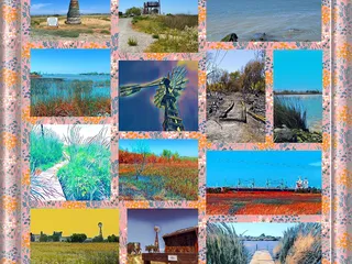 The Corteva Wetlands Preserve