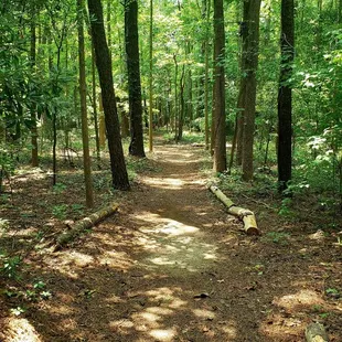 Long trail around the park - 3.3 miles long