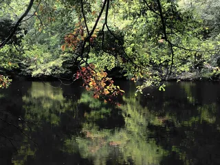 Sleepy Hole Park