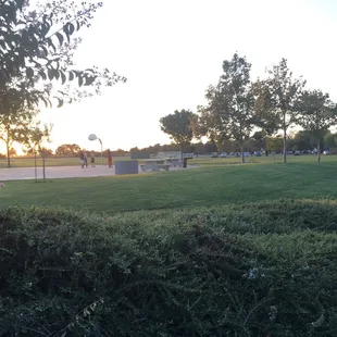 Basketball court available !