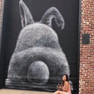 Noelle Y.