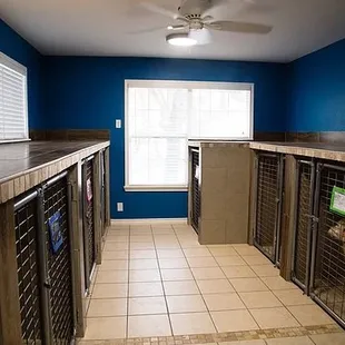 All kennels are indoor and climate controlled.