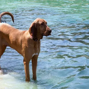 Daycare at the fresh water pond