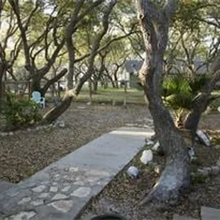 The &quot;Main Yard&quot; one of the twenty-six shady outdoor yards for your dogs to play in.