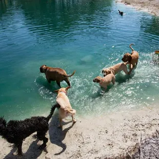 Fun at the Sandy Oaks Pond