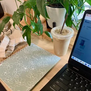 a notebook and a plant