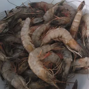$4.99 a pound for xl gulf shrimp