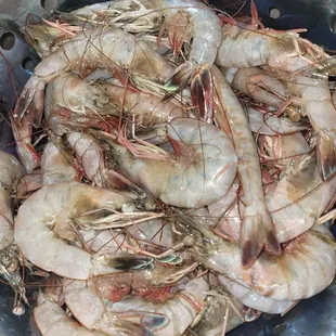 $20 worth of shrimp from Sandy's